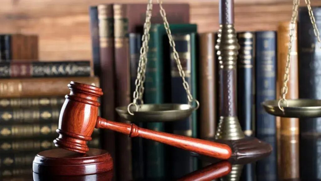 A importância do advogado Loas no processo